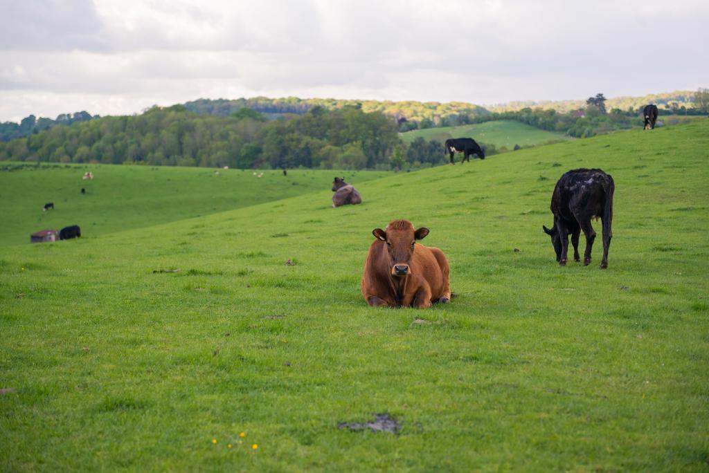 Huntlands Farm Bed & Breakfast Bromyard Eksteriør bilde