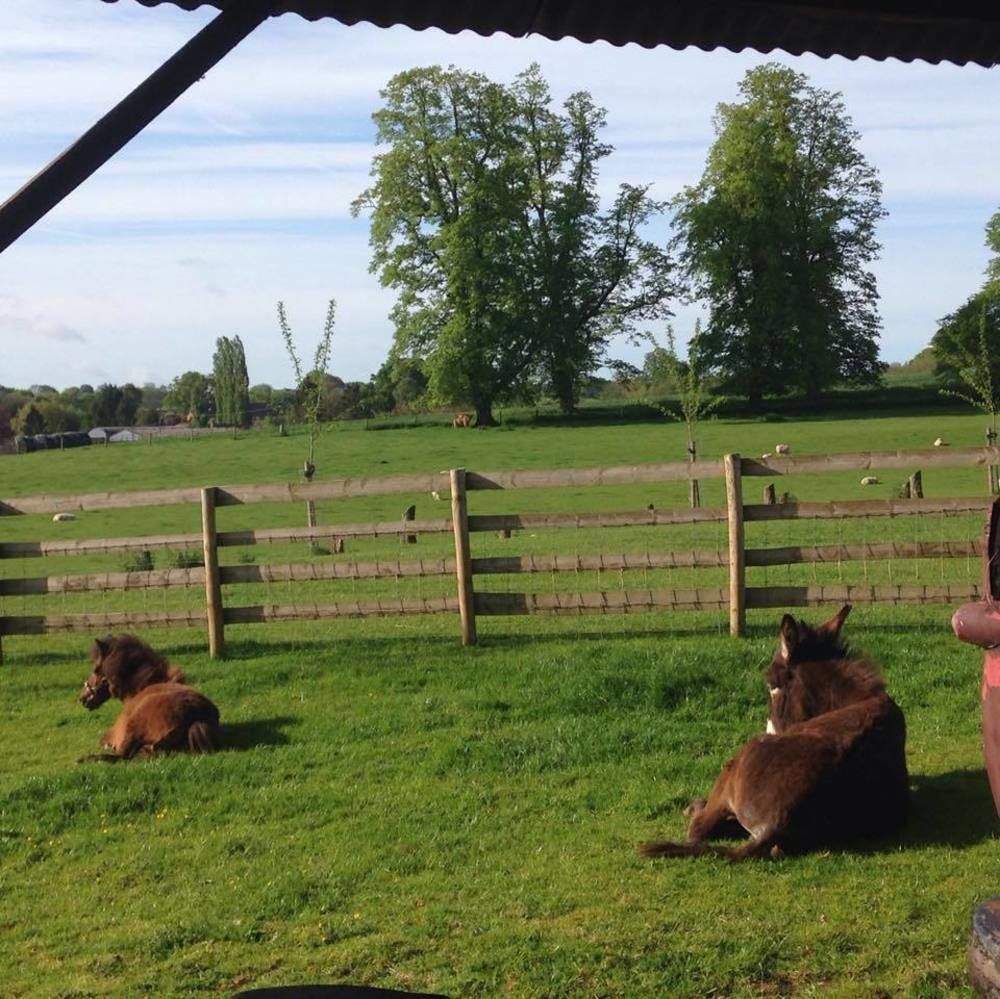 Huntlands Farm Bed & Breakfast Bromyard Eksteriør bilde