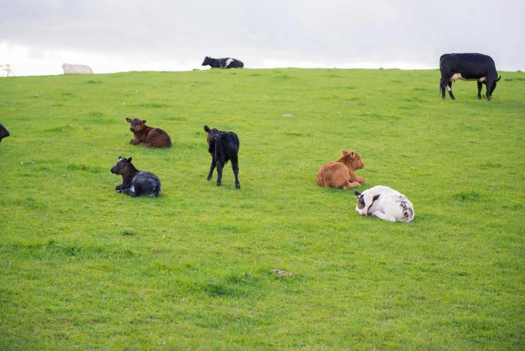 Huntlands Farm Bed & Breakfast Bromyard Eksteriør bilde